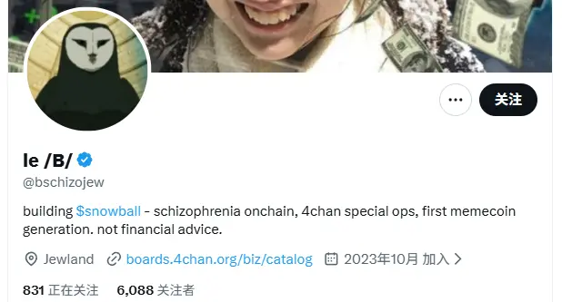 Информация о команде Snowball