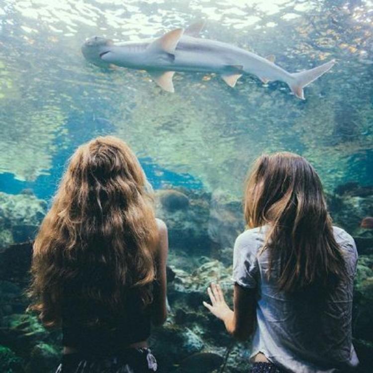 energyedhome@Tristan